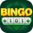 Bingo 101